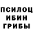 Галлюциногенные грибы мицелий egor Kolpacov