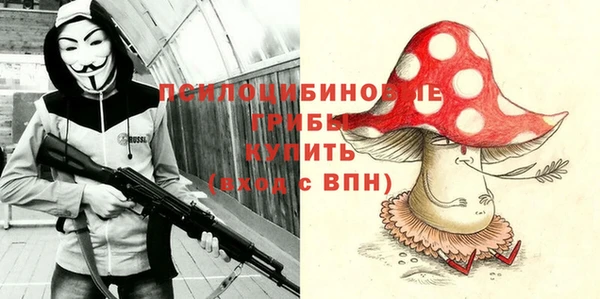apvp Россошь