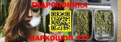 ALPHA-PVP Гатчина
