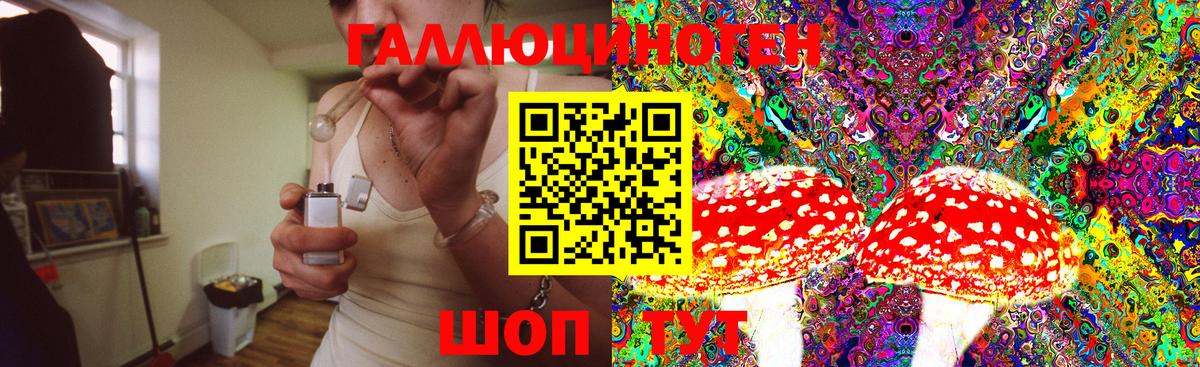 Псилоцибиновые грибы Magic Shrooms  Вход с VPN  Серов  Псилоцибиновые грибы Psilocybine cubensis 