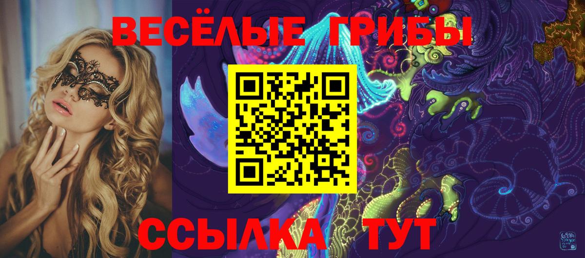 Галлюциногенные грибы Psilocybe Серов